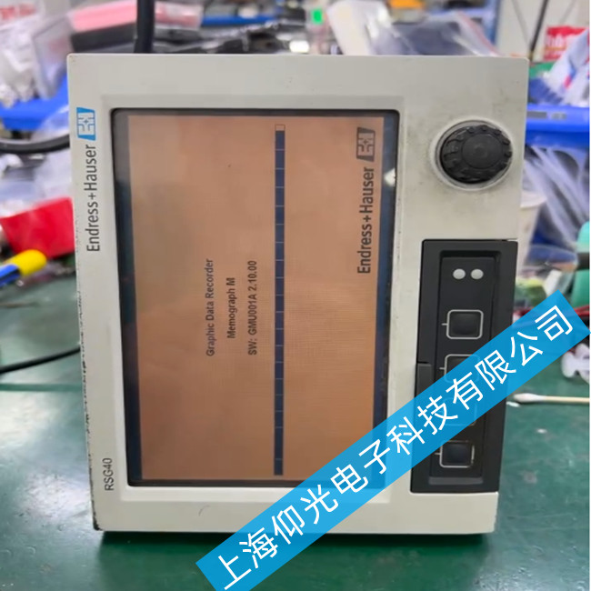 Endress+Hauser RSG35ͨ���͔�(sh��)��(j��)����x�S��